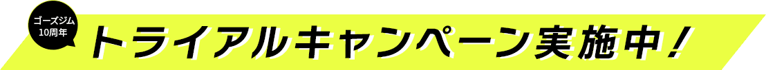 トライアルキャンペーン実施中！